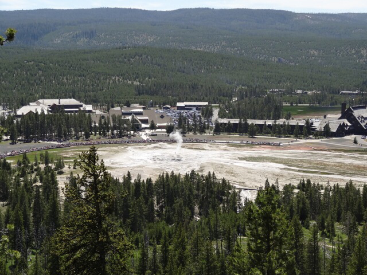 Old Faithfil Arena