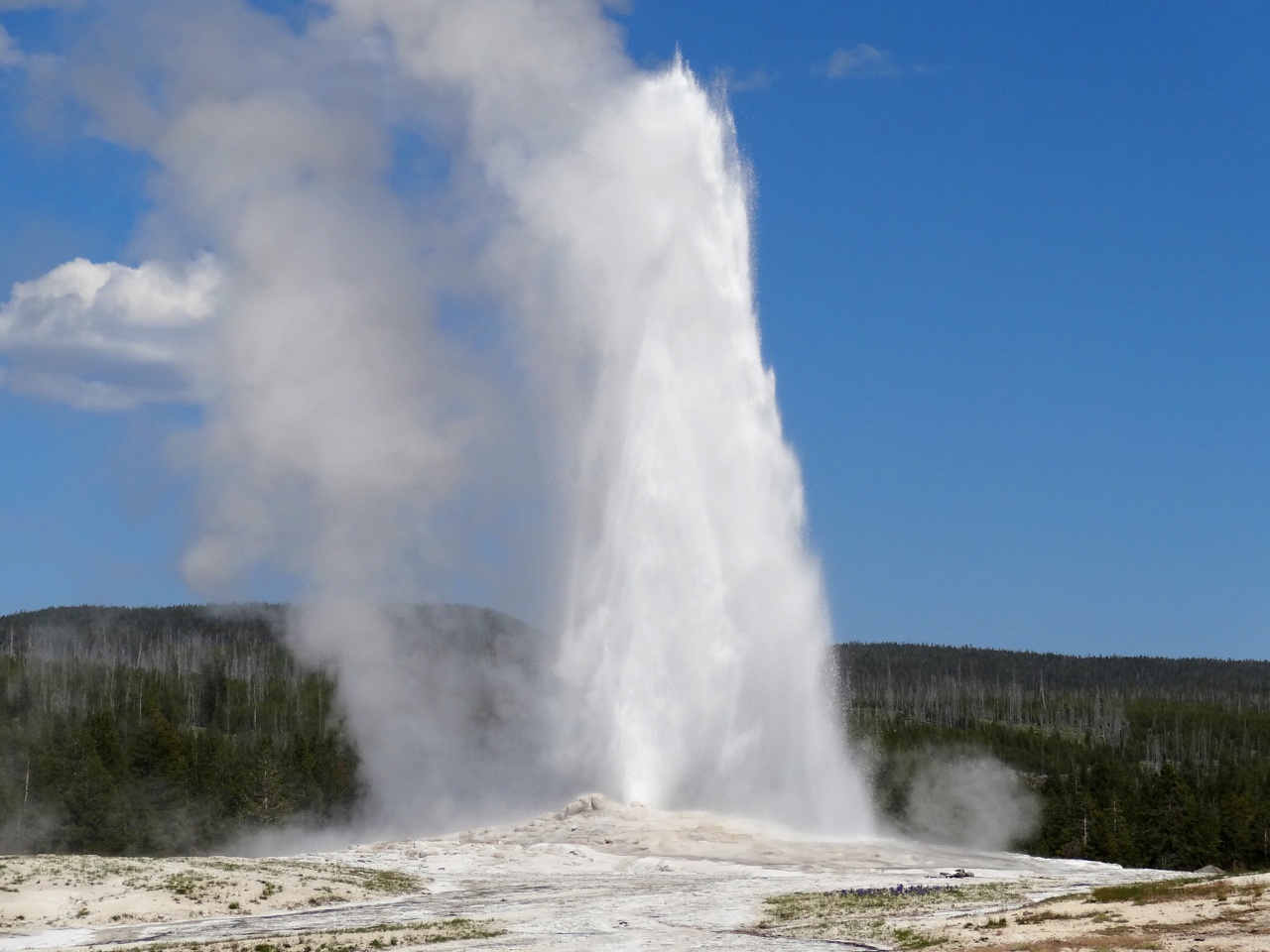 Old Faithful