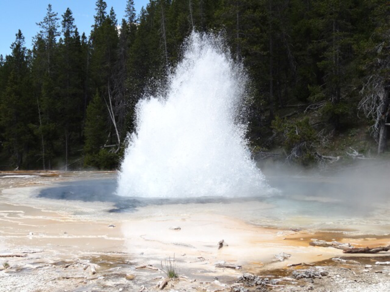 Solitary Geyser