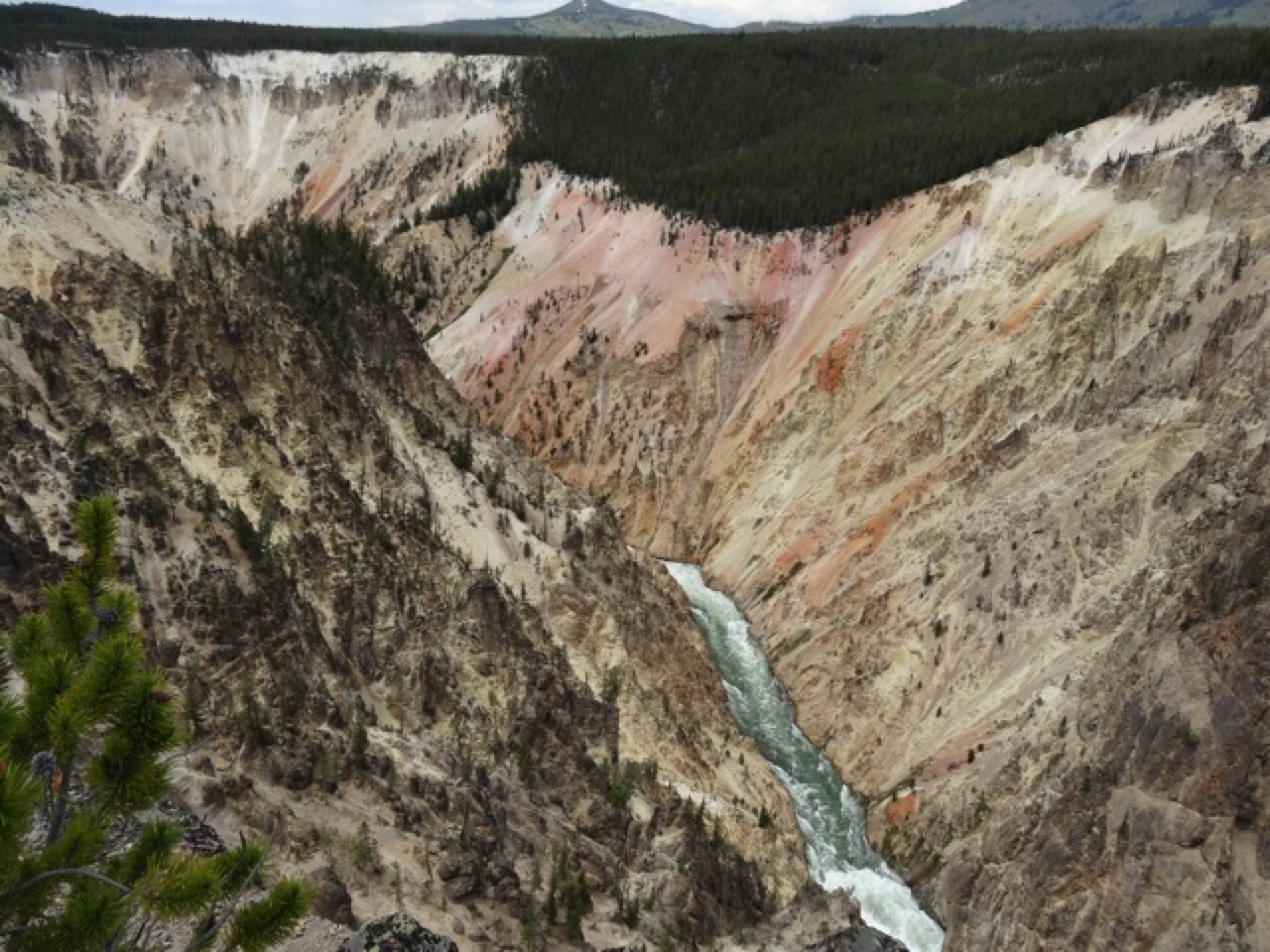 The Grand Canyon of Yellowstone