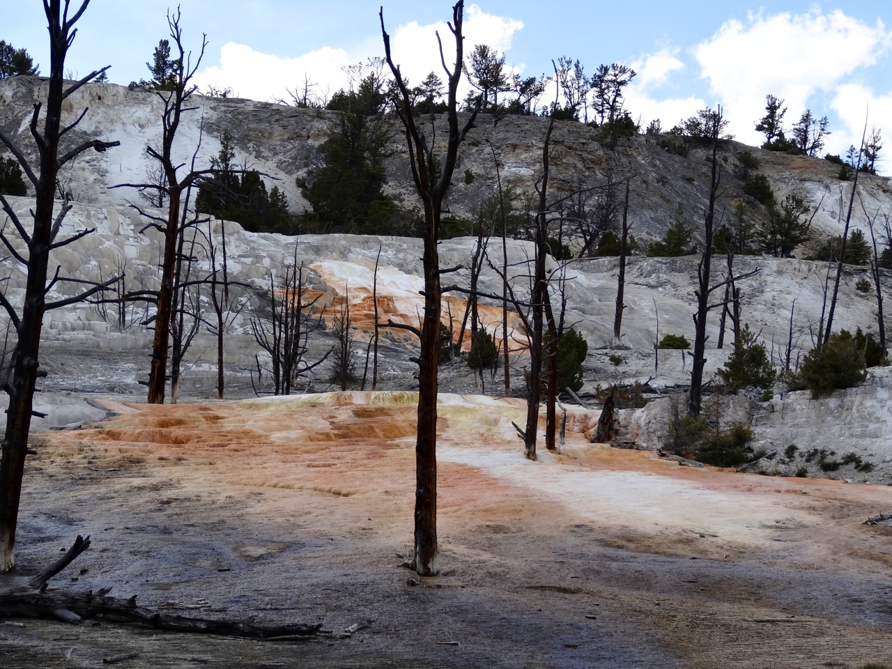 New Highland Terrace at Mammoth