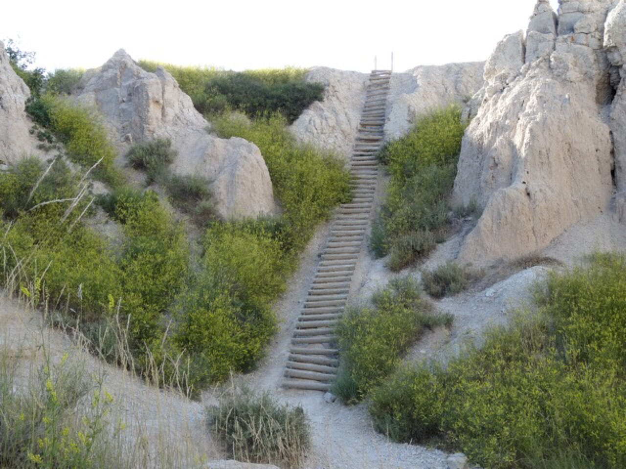 Log Ladder