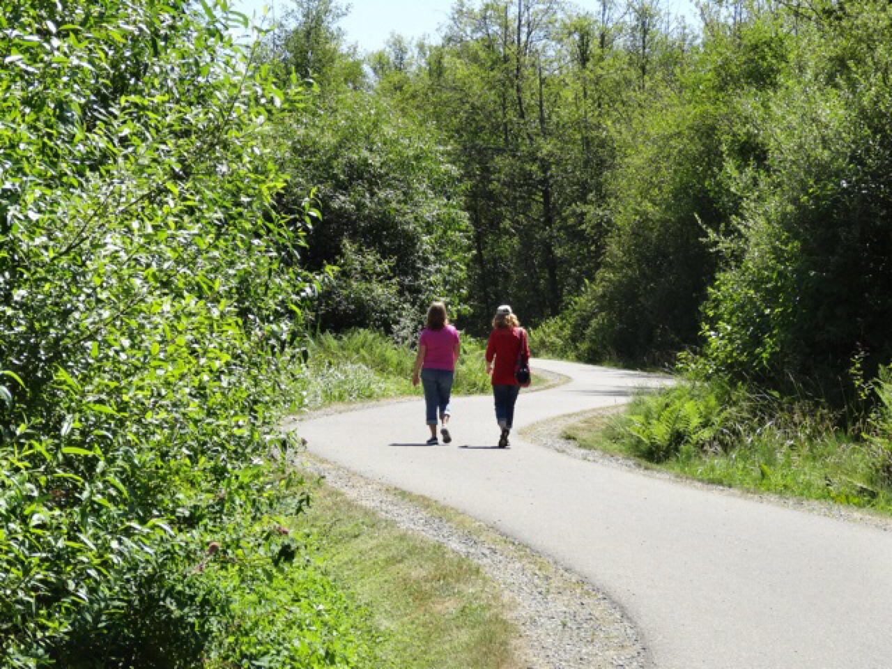 Soos Creek Trail