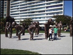 The Laughing Park