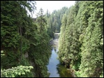 The Capilano River