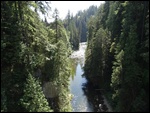The River