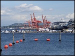 The Sea Plane Terminal