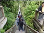 The Suspension Bridge