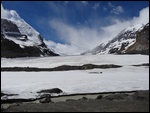 Athabasca Glacier