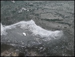 Ice Shards in The Lake