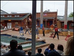 The Lumberjack Show