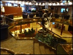 The Atrium