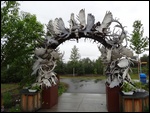 Antler Arch