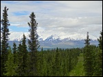 Mt Hayes