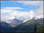 Mt Hayes