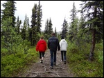 Hiking Up The Trail