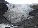 Exit Glacier