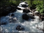 Near Taggart Lake