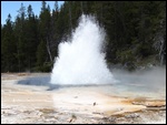 Solitary Geyser