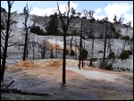 New Highland Terrace at Mammoth