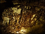 Box Formations In Wind Cave