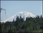 Mt Rainier