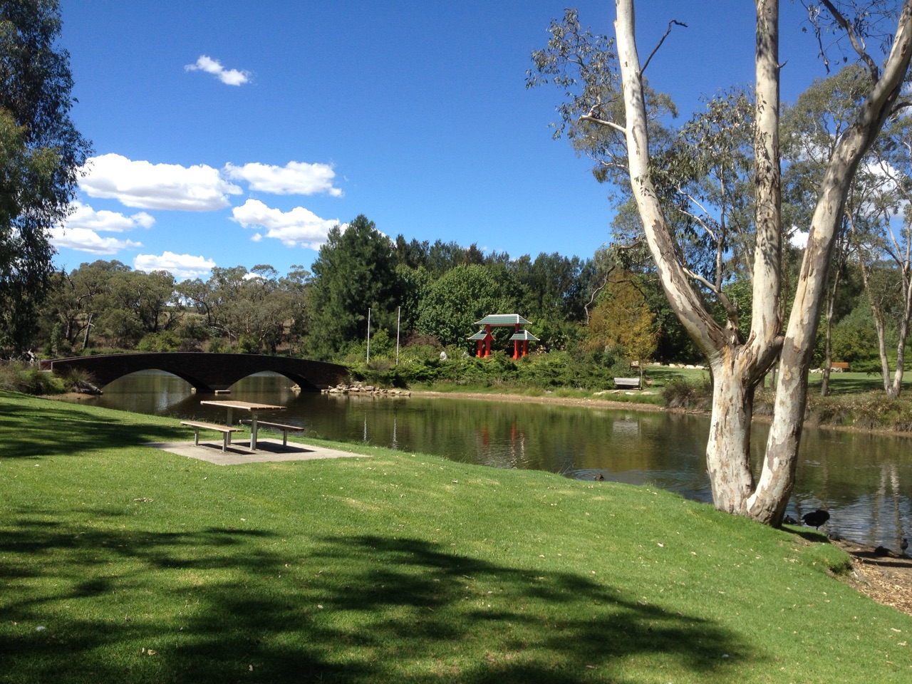 Young Chinese Memorial Gardens