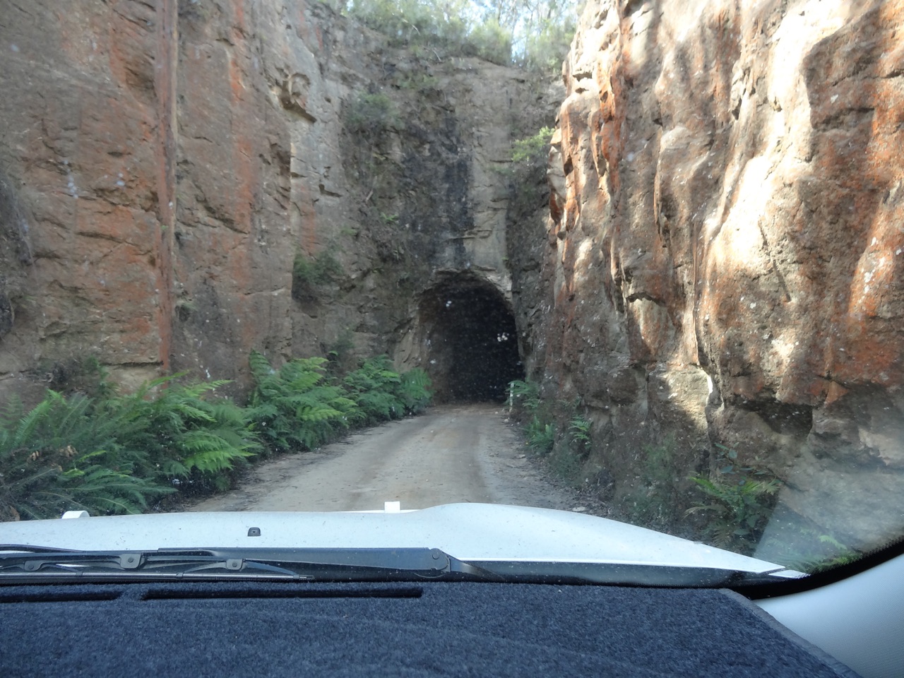Glow Worms Tunnel