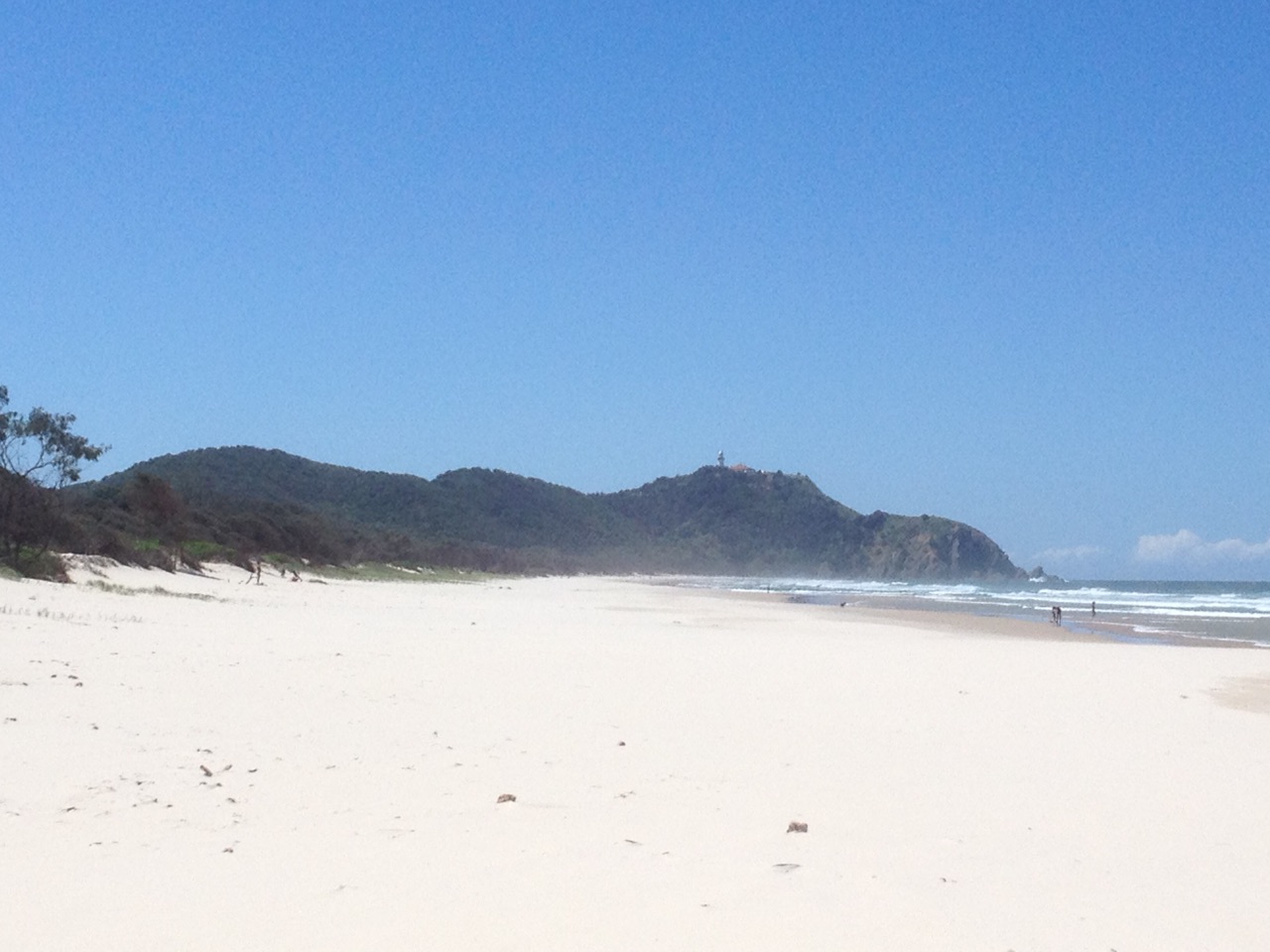 Macauley Headland