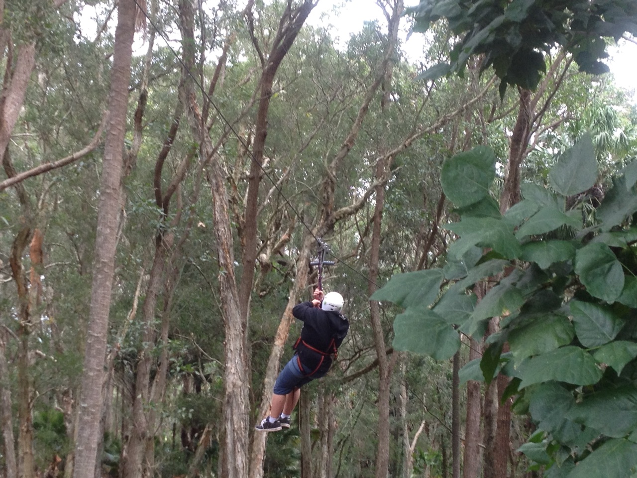 Ziplining