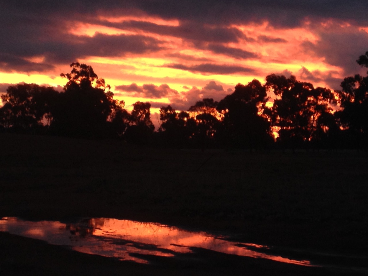 Sunset