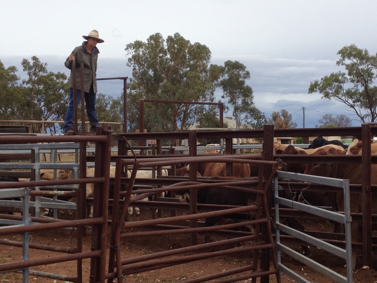 Mustering and Drafting