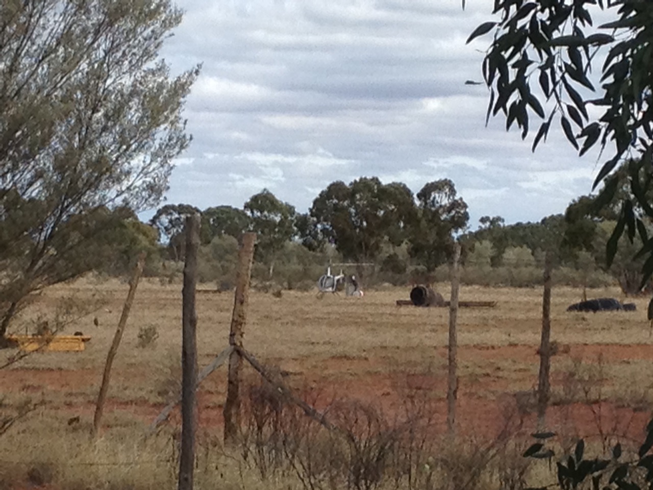 The Mustering Helicopter Arrives