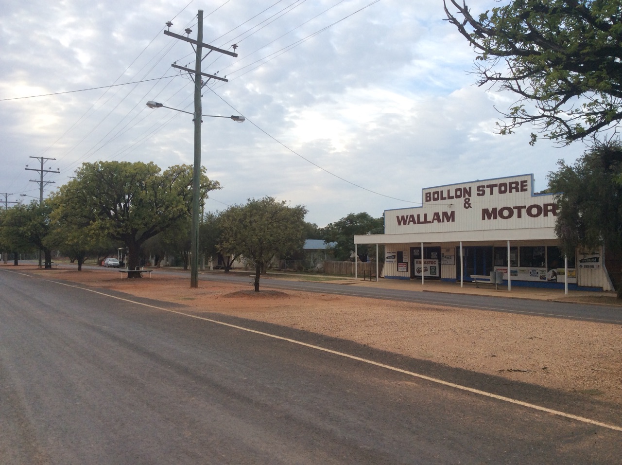 Bollon