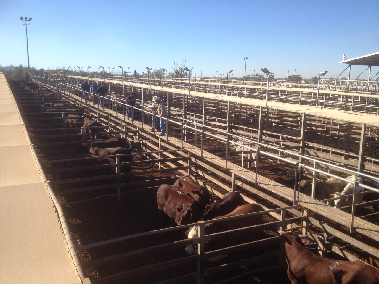 Saleyards