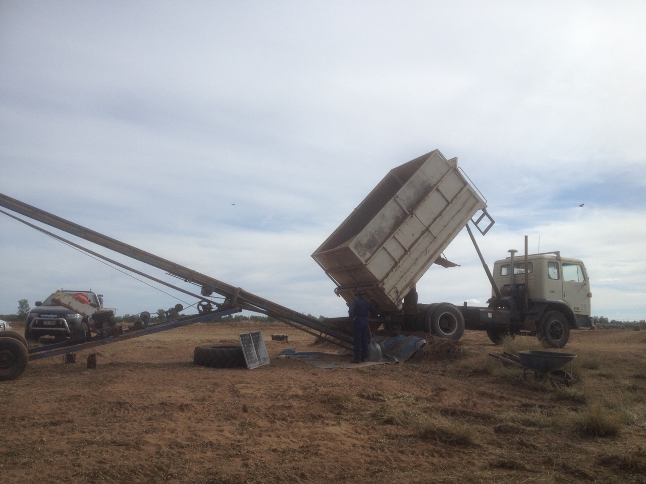 The truck empties the dirty peanuts into a hopper