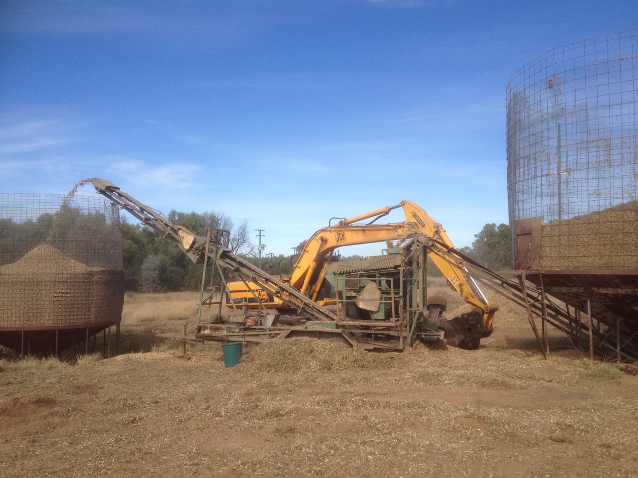 They go thru a cleaner to remove dirt and stalks