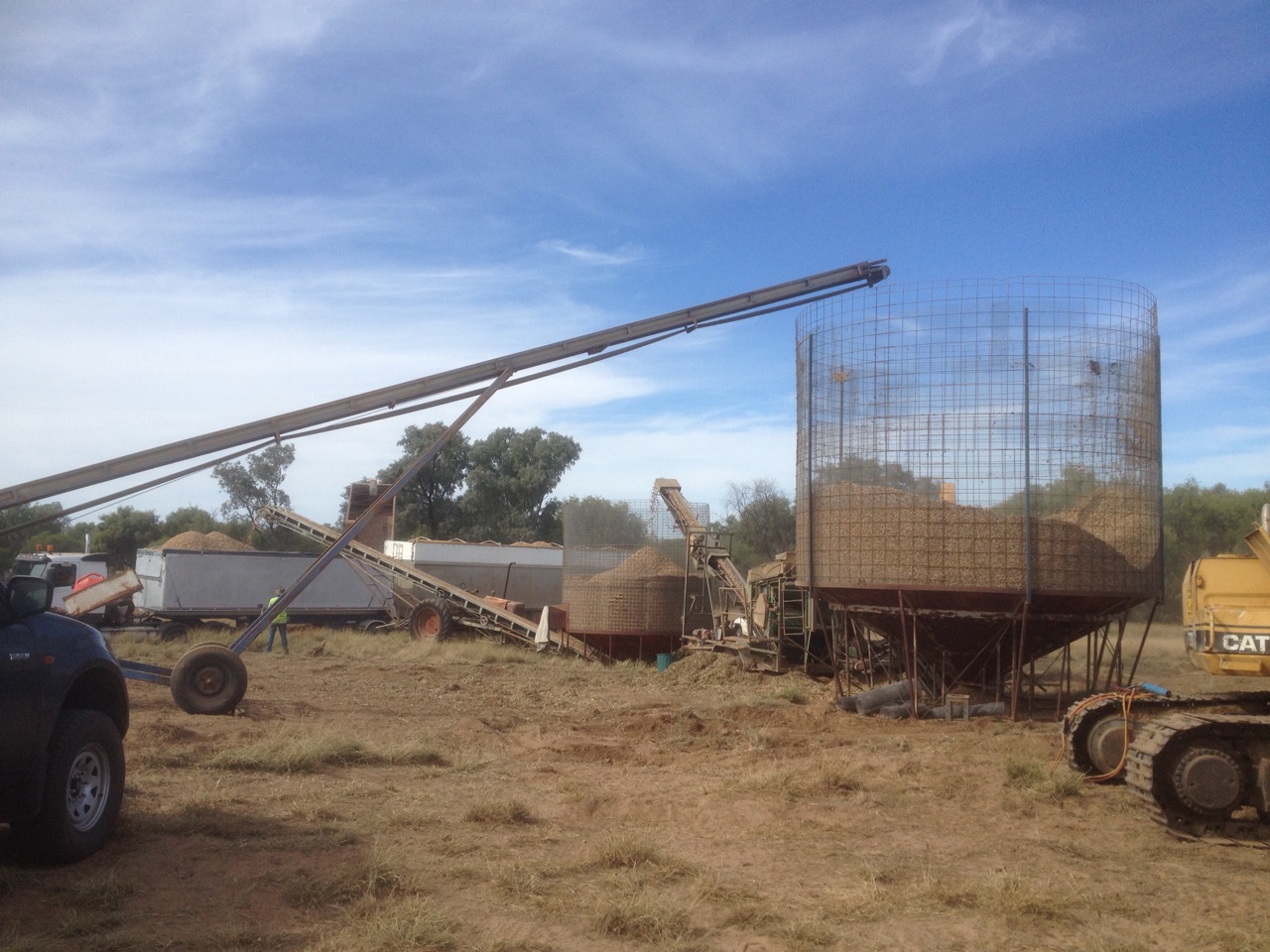 Peanuts Being Harvested
