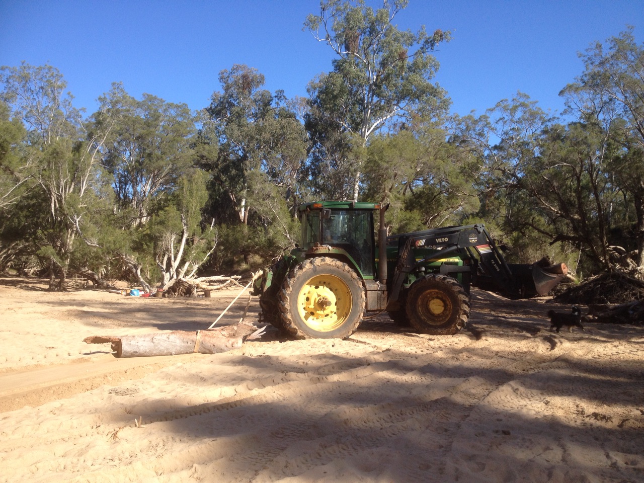 Collecting firewood