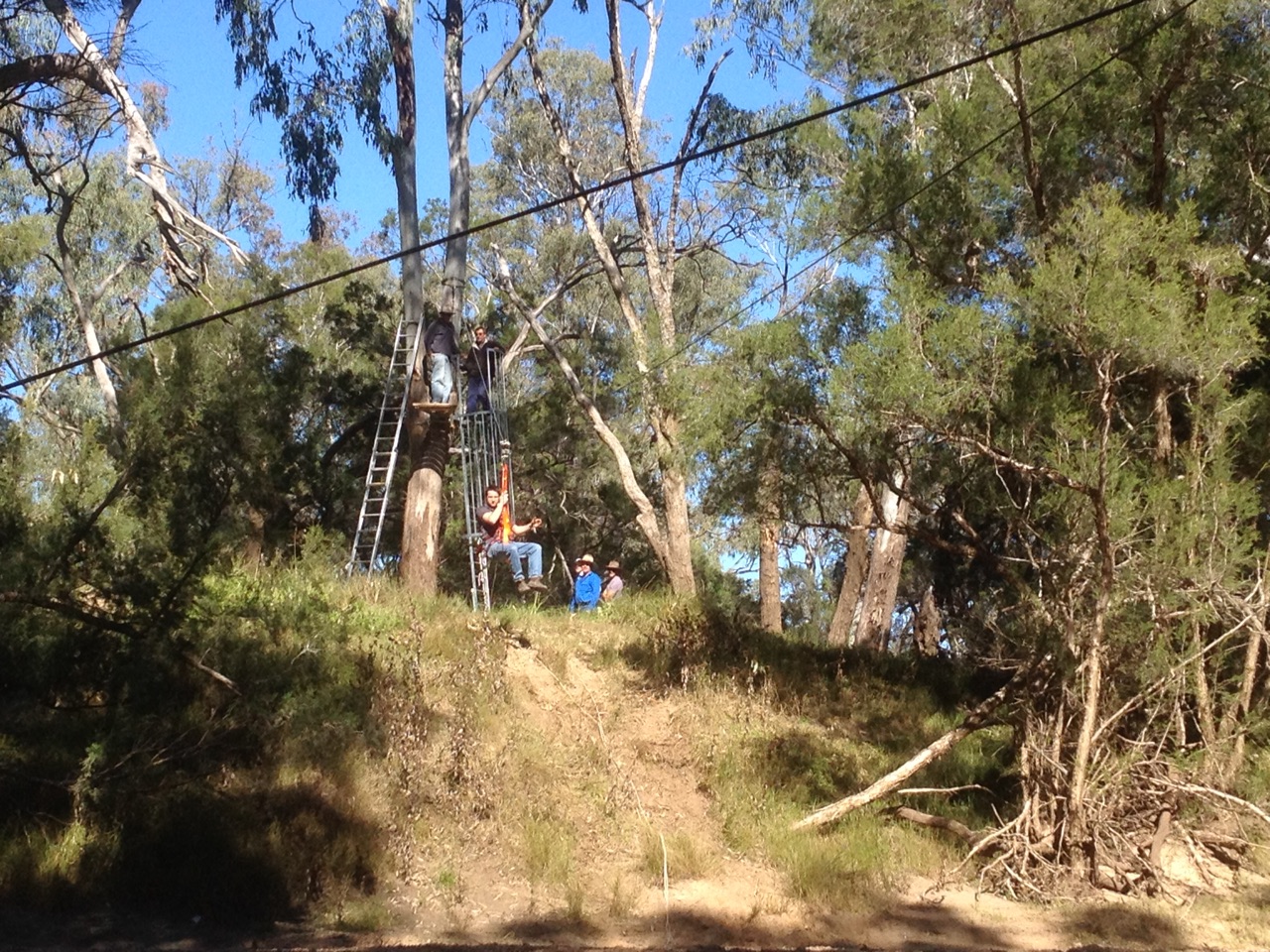 Testing the flying fox