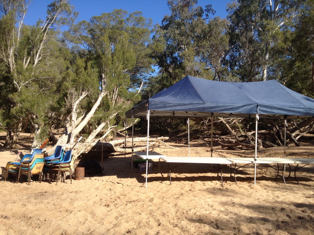 The registration tent