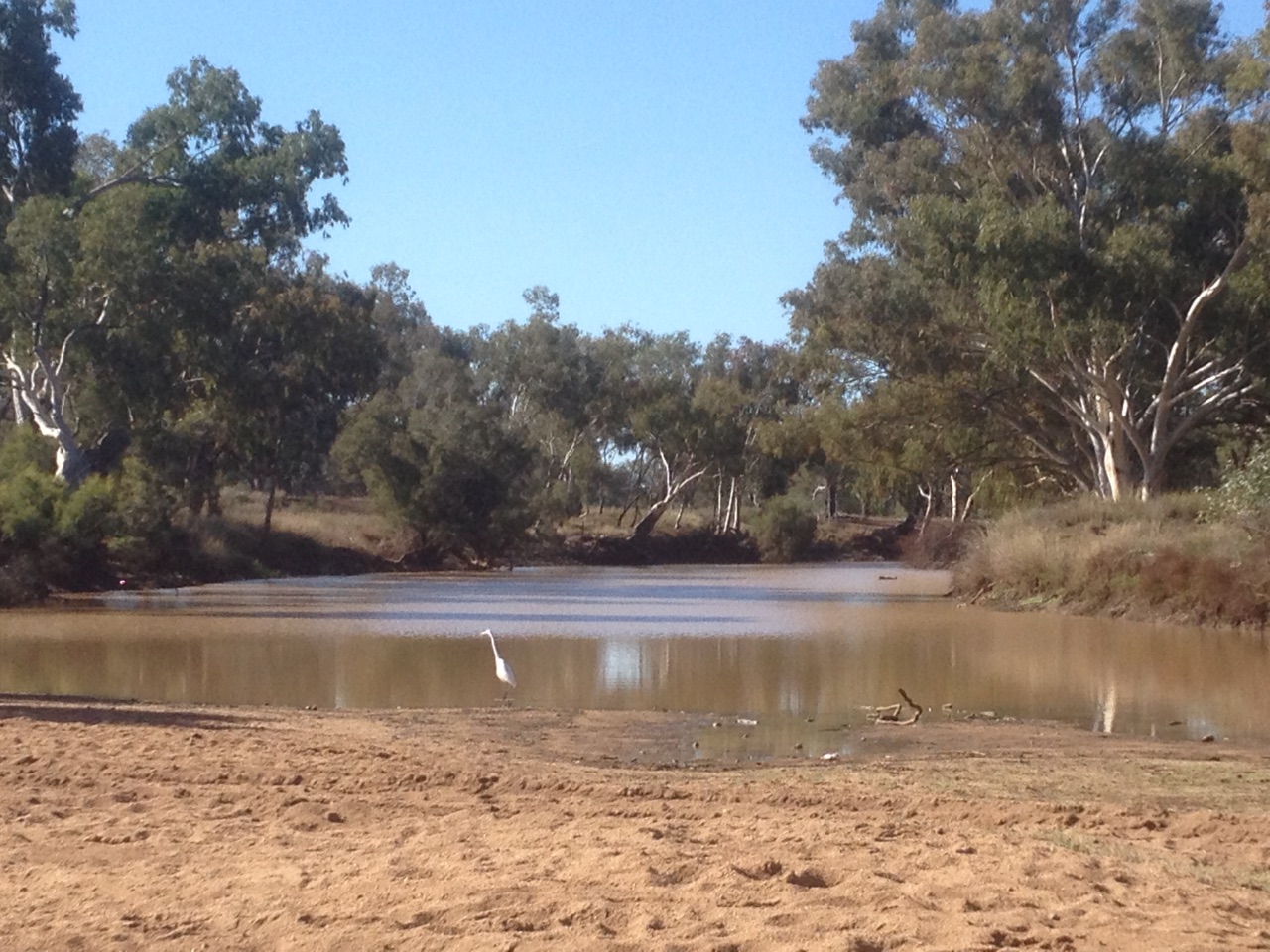 The Warrego River