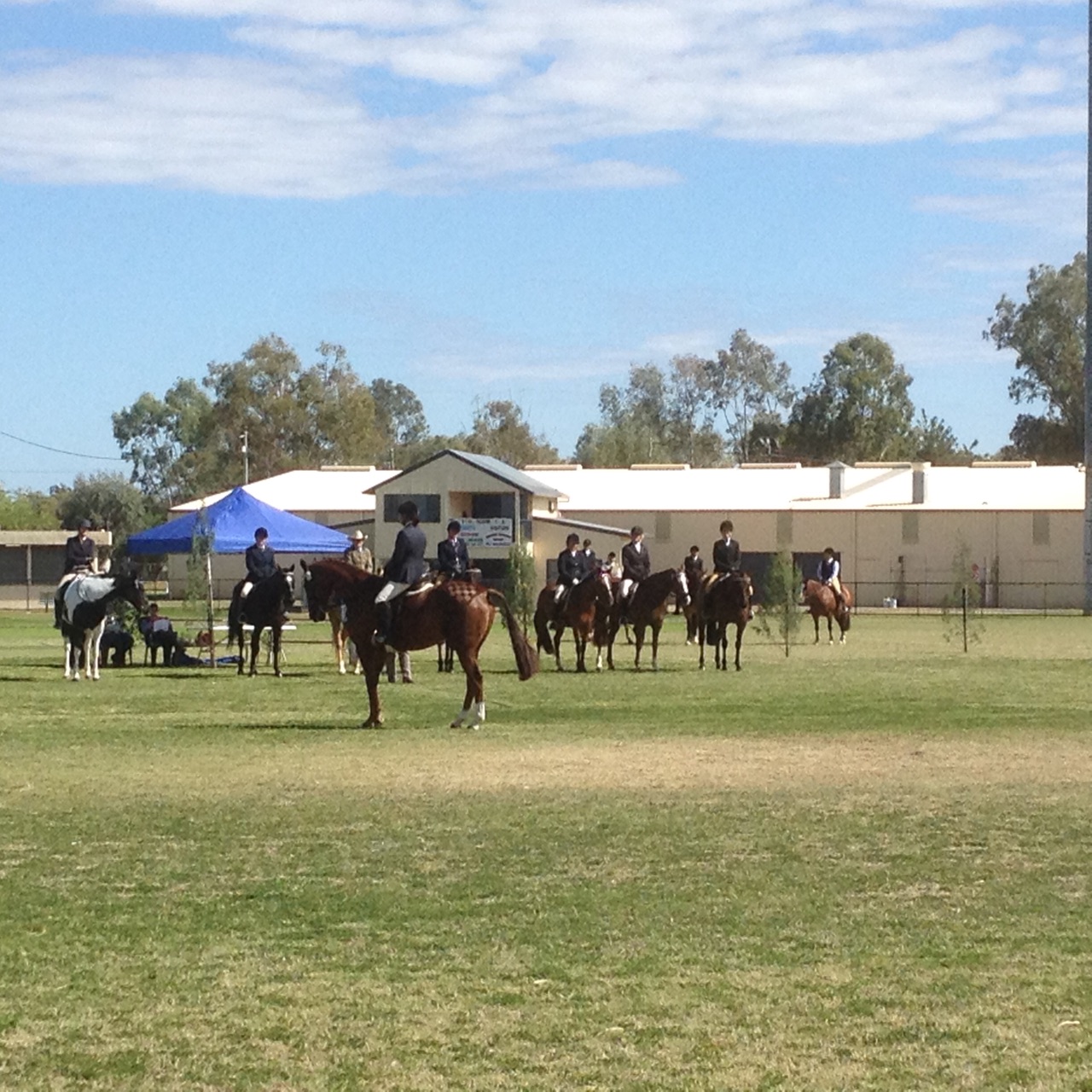SW Masters Equestrian - Dressage