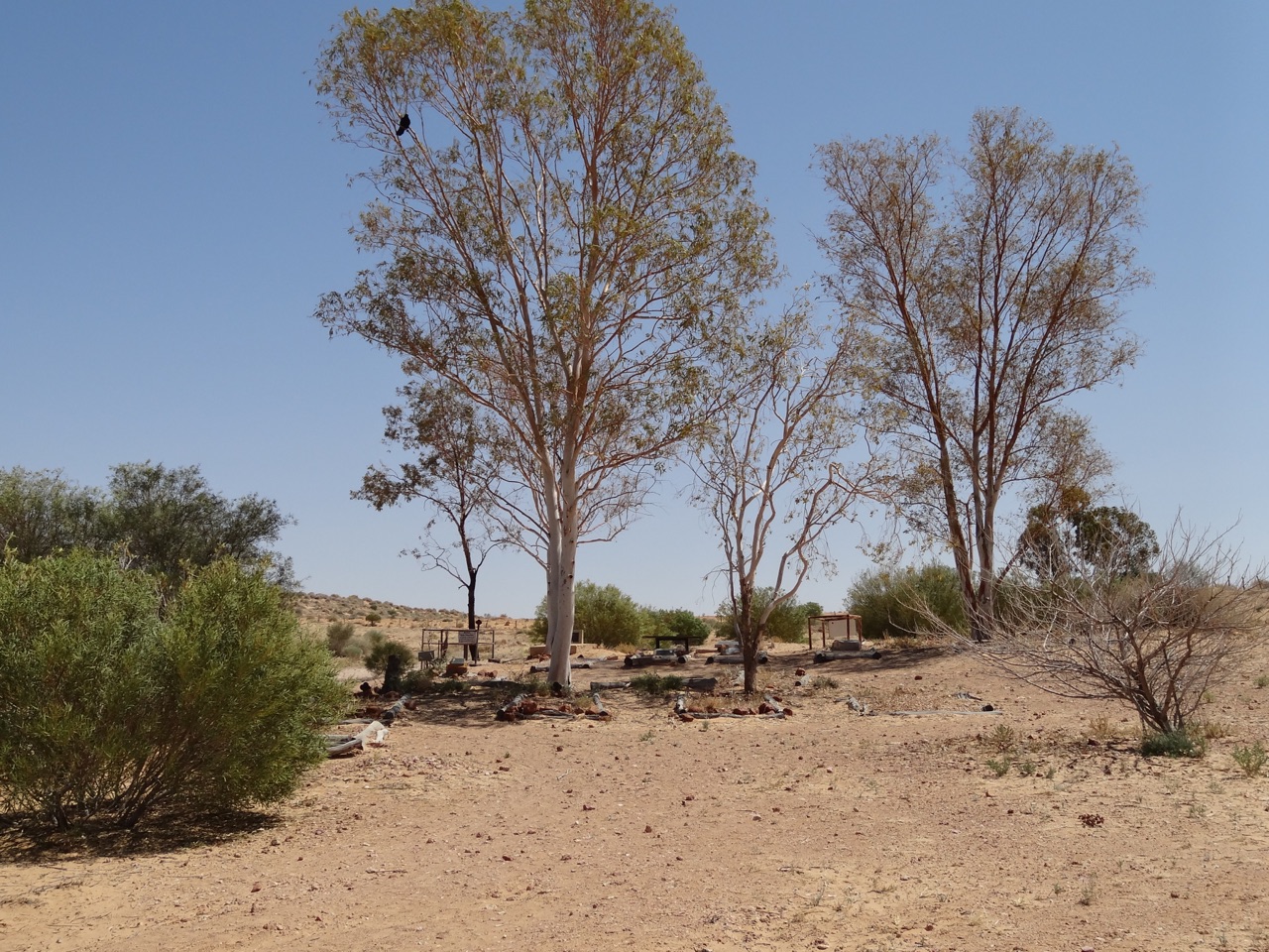 Birdsville Cemetery