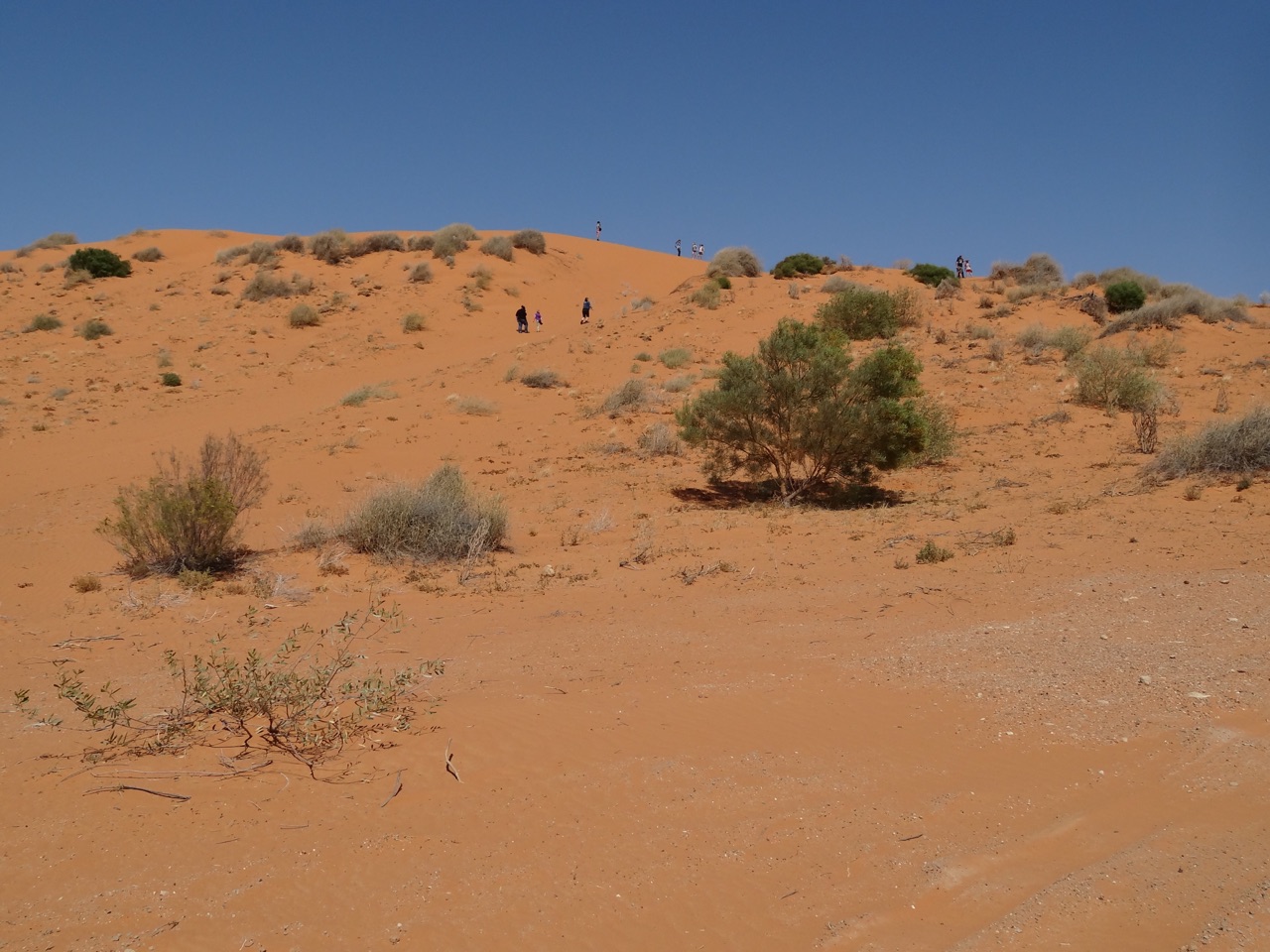 Climbing up to see the view