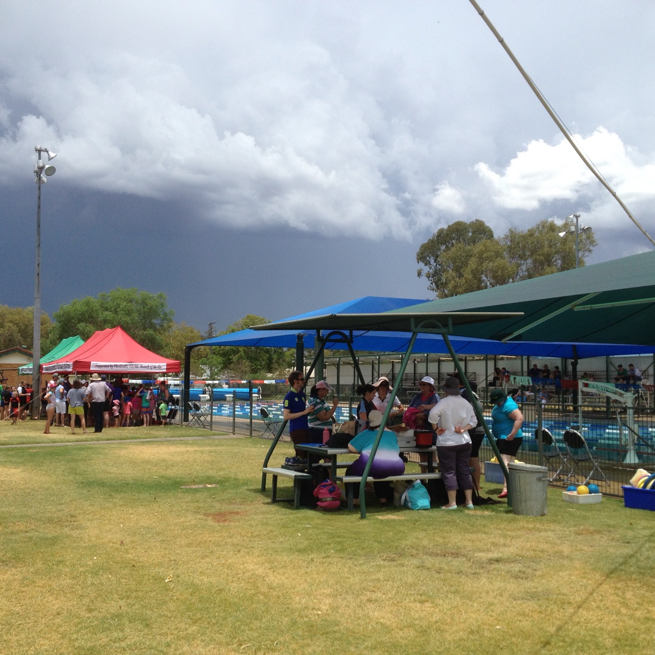 Swim Muster