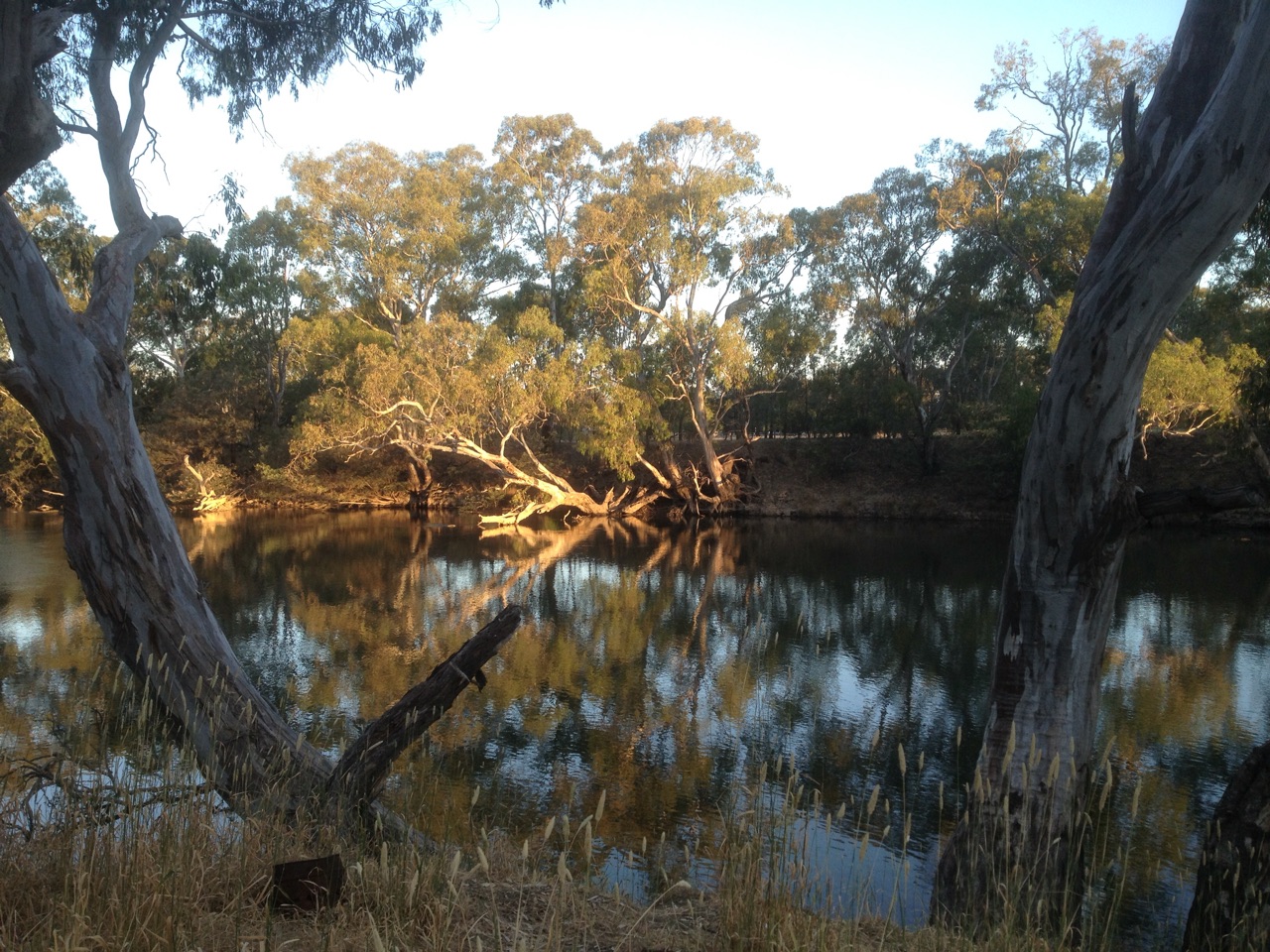 Murrumbidgee River, Seymour