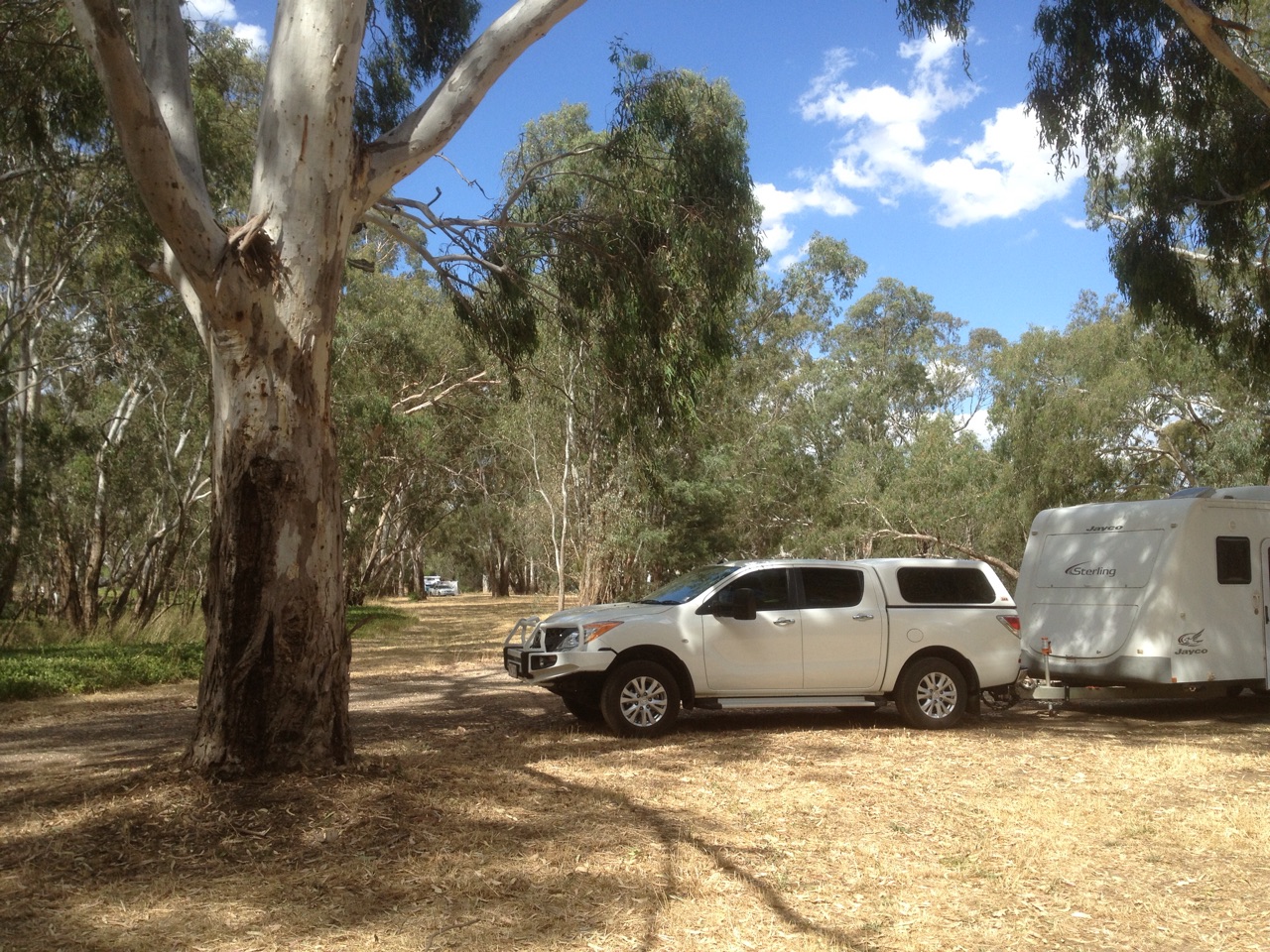 Seymour Reserve