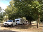 Cootamundra