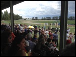 Bathurst Races